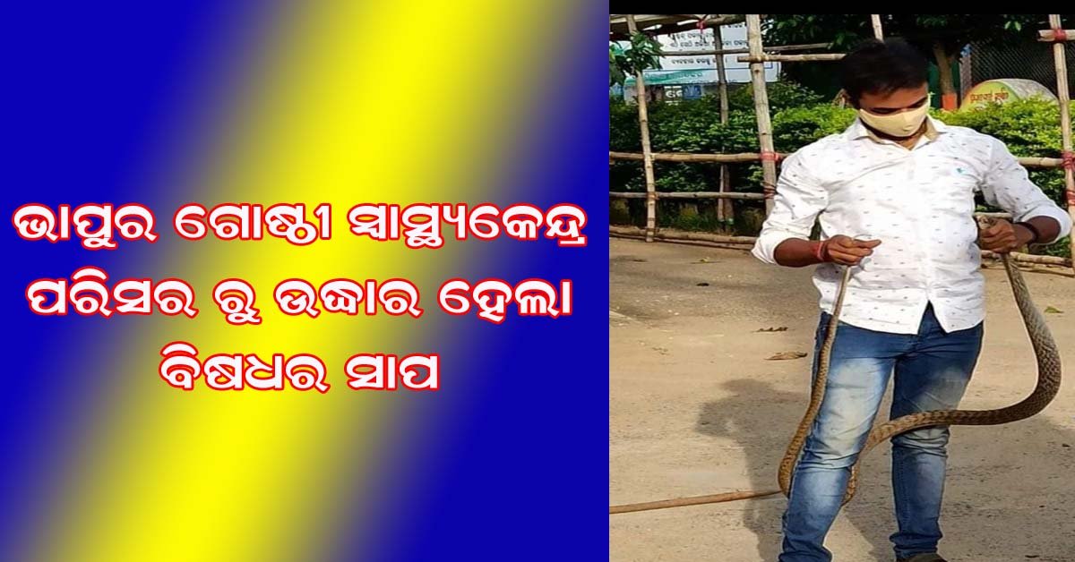 ଭାପୁର ମେଡିକାଲ ପରିସର ରୁ ସାପ ଉଦ୍ଧାର !!