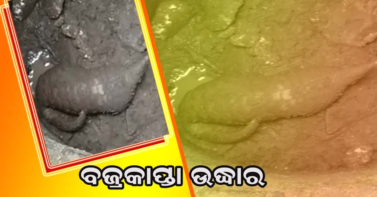 ବଜ୍ରକାପ୍ତା ଚାଲାଣ ସମୟରେ ତିନି ଗିରଫ !!!