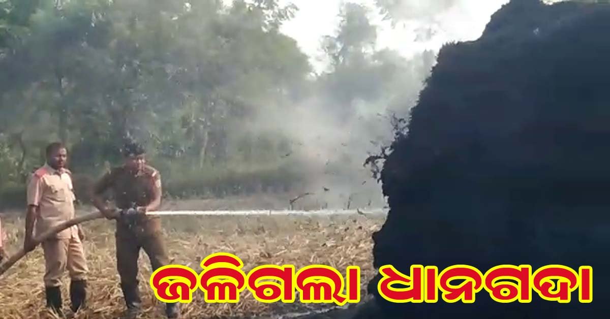 ଧାନ ଗଦାରେ ଲାଗିଲା ନିଆଁ : ଜଳିଗଲା ଚାଷୀ ର ପରିଶ୍ରମ !!!