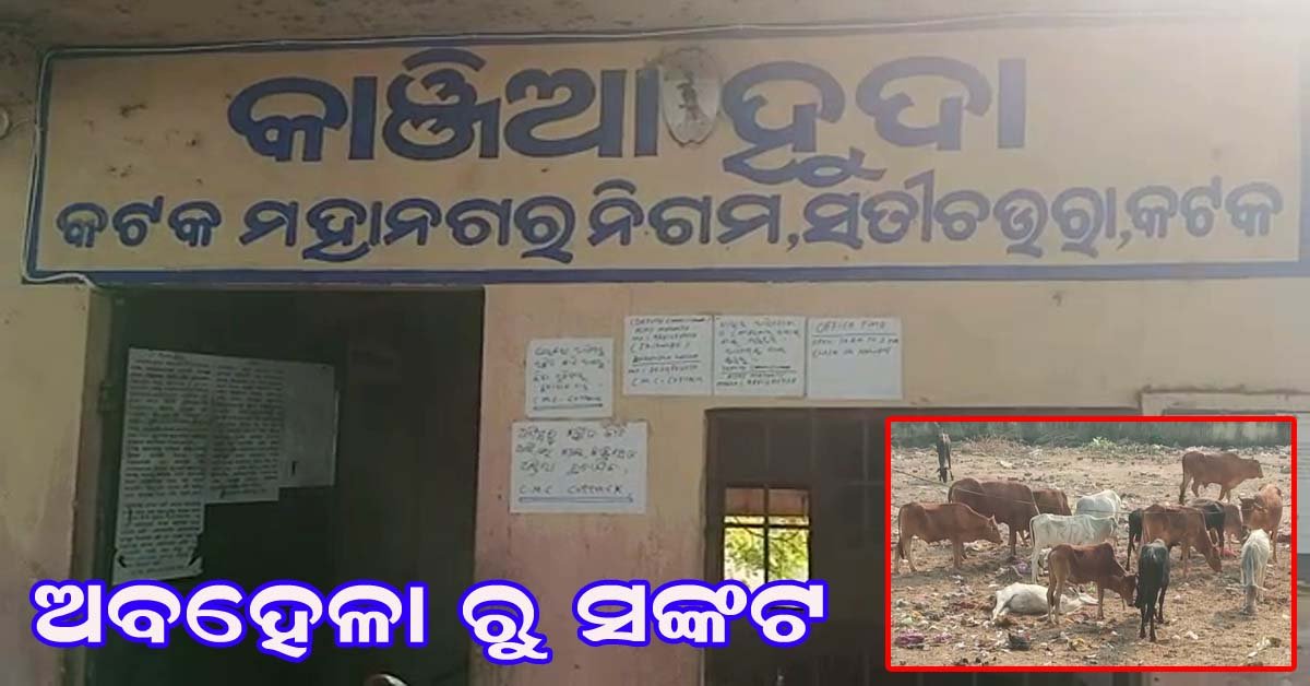 ସିଏମସି ର ଅବହେଳା ପାଇଁ ଚାଲି ଯାଇଛି ଗୋ ମାତାଙ୍କ ଜୀବନ !!!