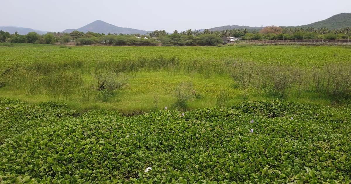 ସୀତା ସାଗର ପୁନଃରୁଦ୍ଧାର କେବେ ? ??