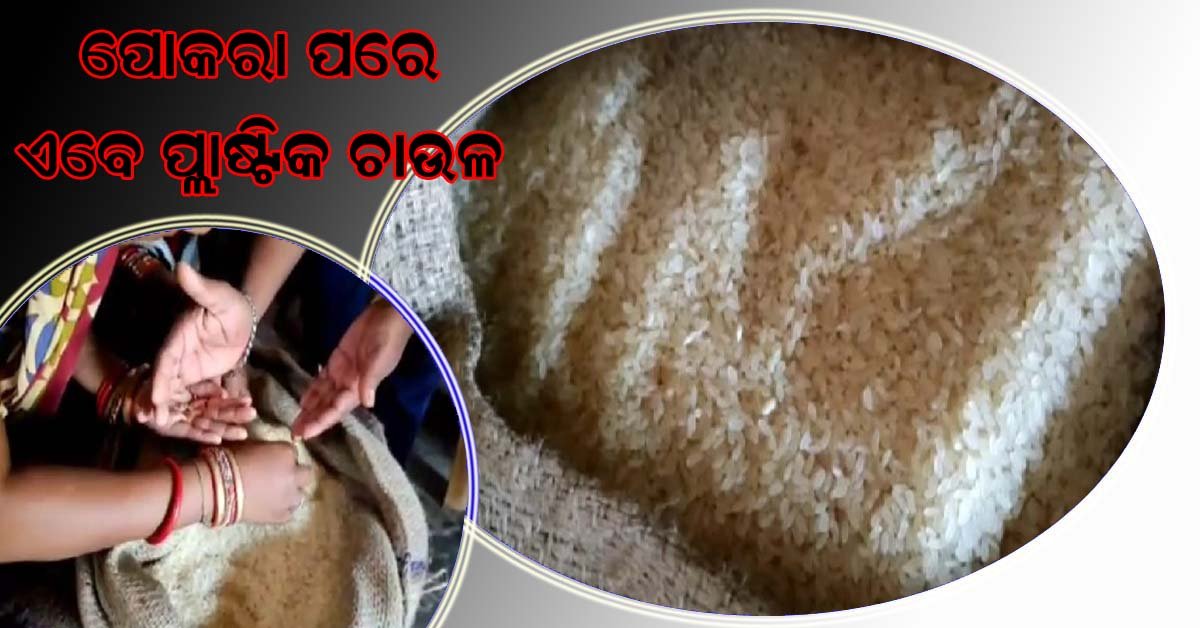 ମଧ୍ୟାହ୍ନ ଭୋଜନରେ ପୋକରା ଚାଉଳ ପରେ ଏବେ ପ୍ଲାଷ୍ଟିକ ଚାଉଳ !!!