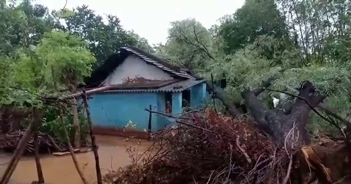 ଘର ଉପରେ ମାଡି ବସିଲା ଗଛ ଓ ବିଦ୍ୟୁତ ଖୁଣ୍ଟ !!!