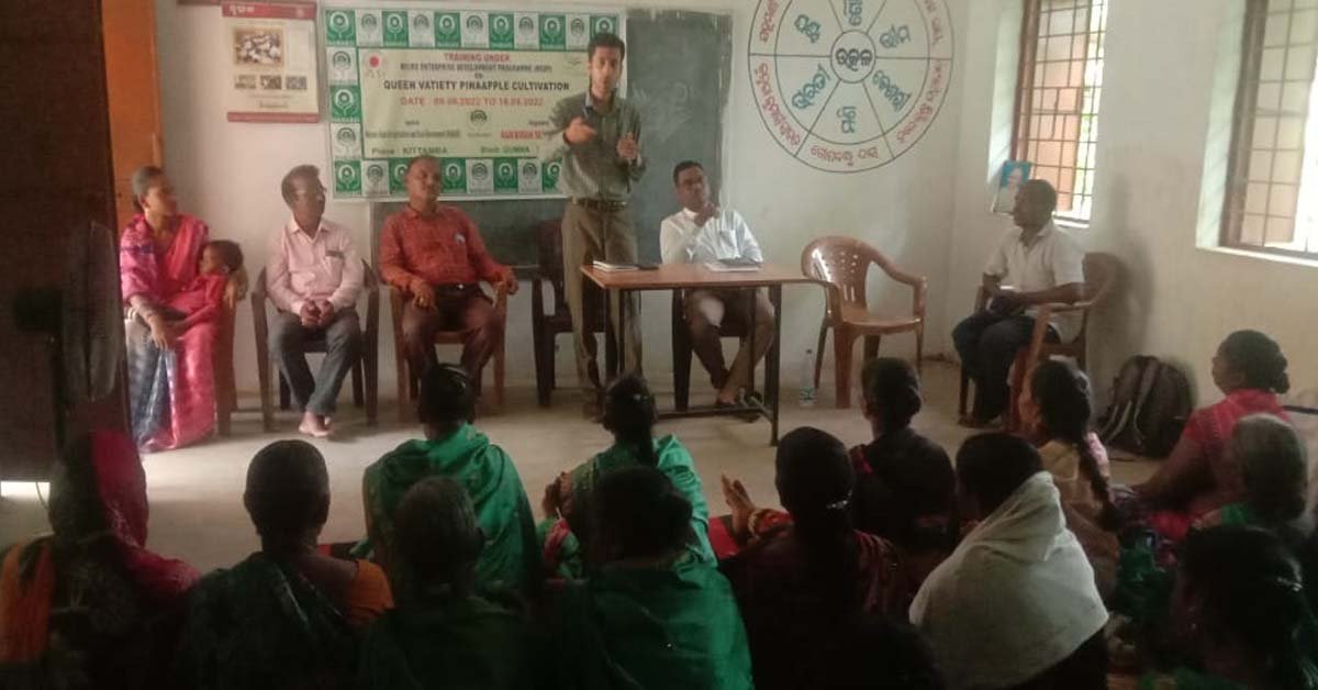 ରାଣୀ ଜାତୀୟ ସପୁରୀ ଚାଷ ତାଲିମ !!!