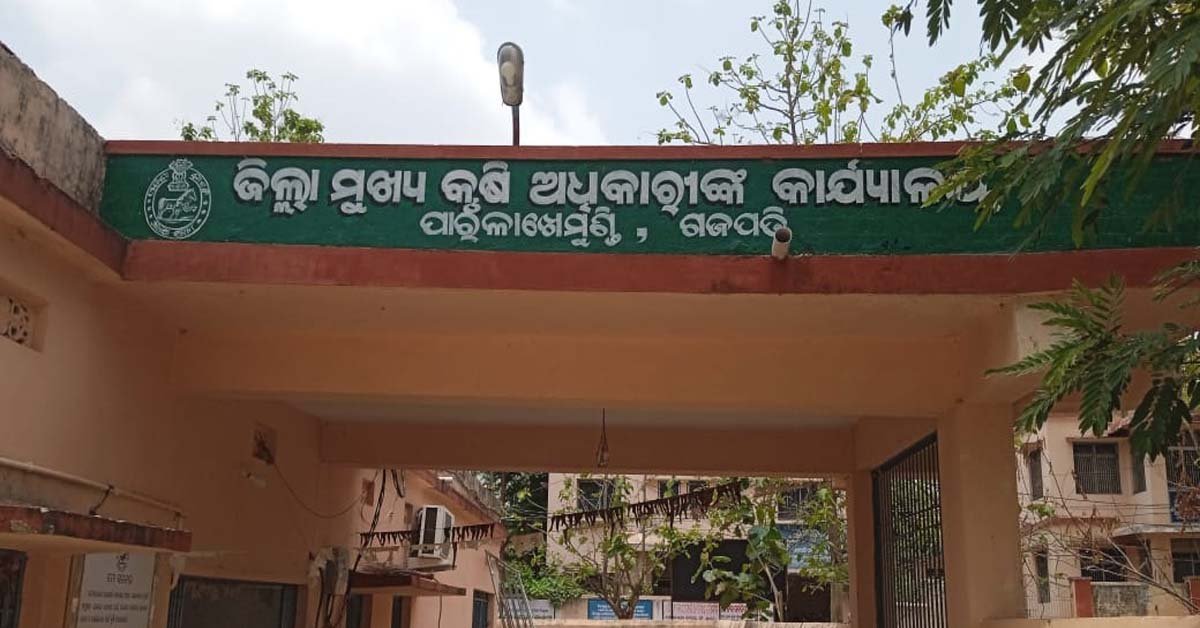 ସରକାରୀ ବିହନ ଧାର୍ଯ୍ୟ ଦର ଠାରୁ ଅଧିକା ଦରରେ ବିକ୍ରି ହେଉଥିବା ଅଭିଯୋଗ  !!!!