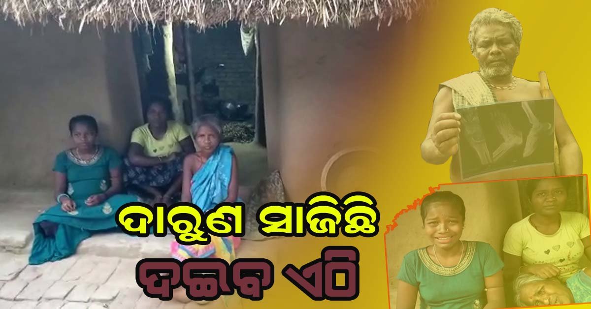 ଦାରୁଣ ସାଜିଛି ଦଇବ ଏଠି !!!