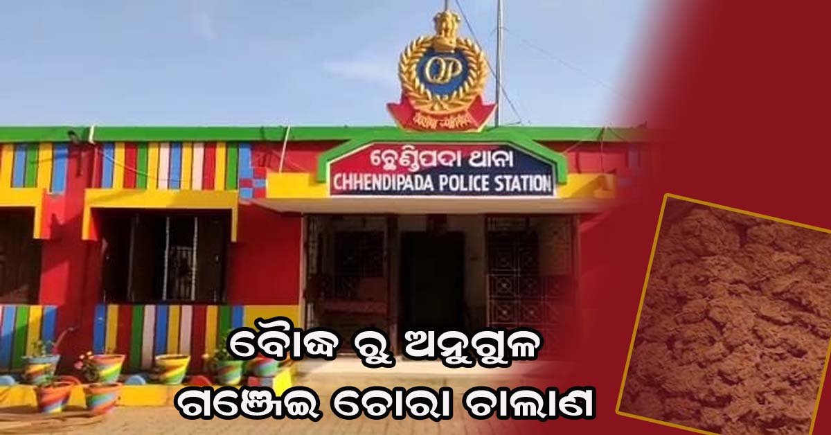 ବିପୁଳ ପରିମାଣର ଗଞ୍ଜେଇ ଜବତ କଲା ଛେଣ୍ତିପଦା ଥାନା ପୁଲିସ !!!