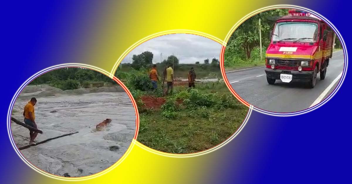 ପାଉଁଶ ପୋଖରୀ ପାଲଟିଛି ଜୀବଜନ୍ତୁଙ୍କ ପାଇଁ ମୃତ୍ୟୁ ଯନ୍ତା !!!