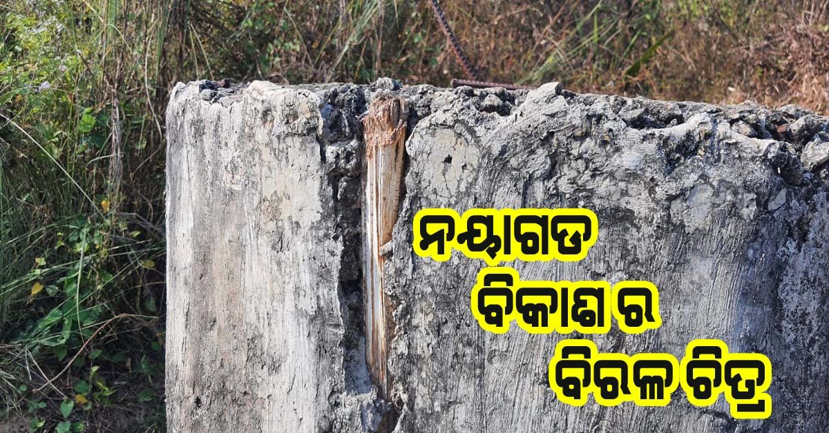 ପଦାକୁ ଆସିଲା ଯନ୍ତ୍ରୀ–ଠିକାଦାର ଙ୍କ ମଧୁଚନ୍ଦ୍ରିକା : ଛଡ ବଦଳରେ ବ୍ୟବହାର ହୋଇଛି କାଠ !!!