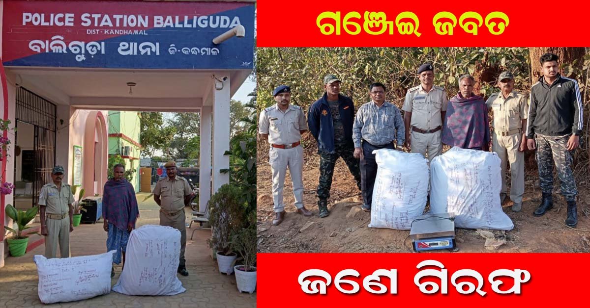 ଗଞ୍ଜେଇ ଚୋରା ଚାଲାଣ ପାଇଁ ସଜବାଜ ବେଳେ ମାଡ଼ି ବସିଲା ପୋଲିସ : ଜଣେ ଗିରଫ !!!