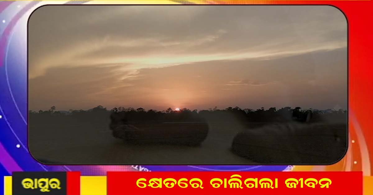 କ୍ଷେତରେ କାମ କରୁଥିବା ସମୟରେ ଚାଷୀଙ୍କ ଅକାଳ ବିୟୋଗ !!!