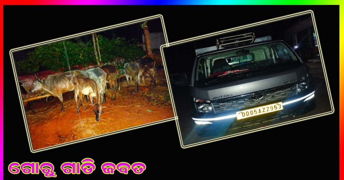 କଳାପଥର ବଜରଙ୍ଗ ଦଳ କାଯ୍ୟକର୍ତ୍ତା ଙ୍କ ଦ୍ୱାରା ଗୋରୁ ଗାଡି ଜବତ !!!