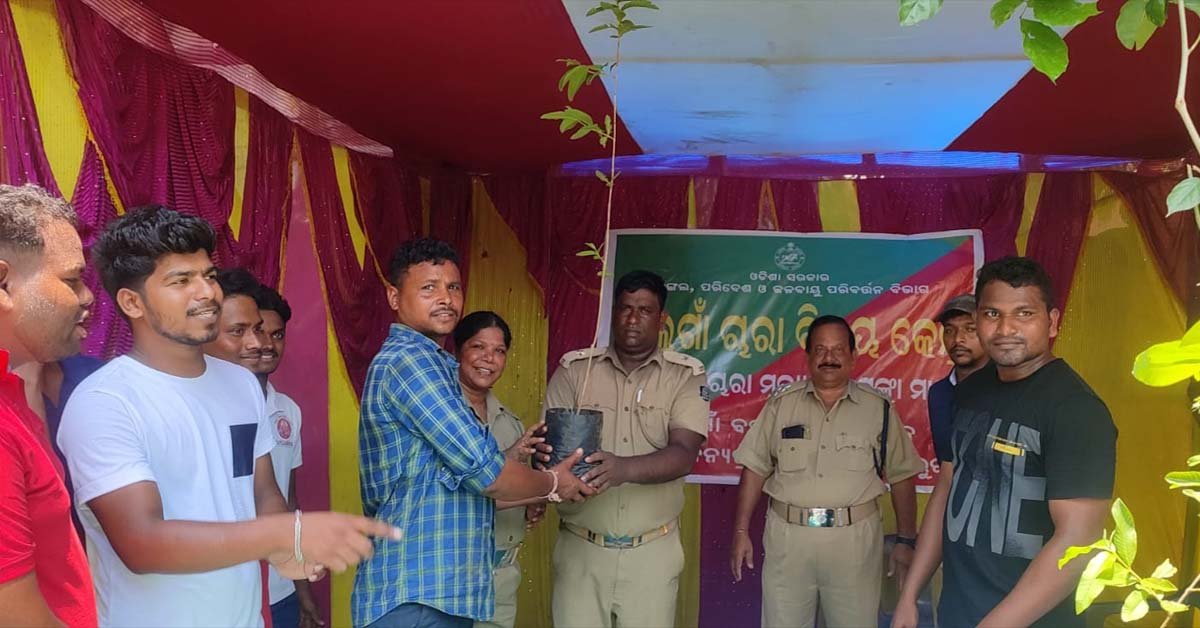 ବାଲୁଗାଁ ମହାବିଦ୍ୟାଳୟ ପରିସରରେ ୭୪ ତମ ବନ ମହୋତ୍ସବ ପାଳିତ !!!