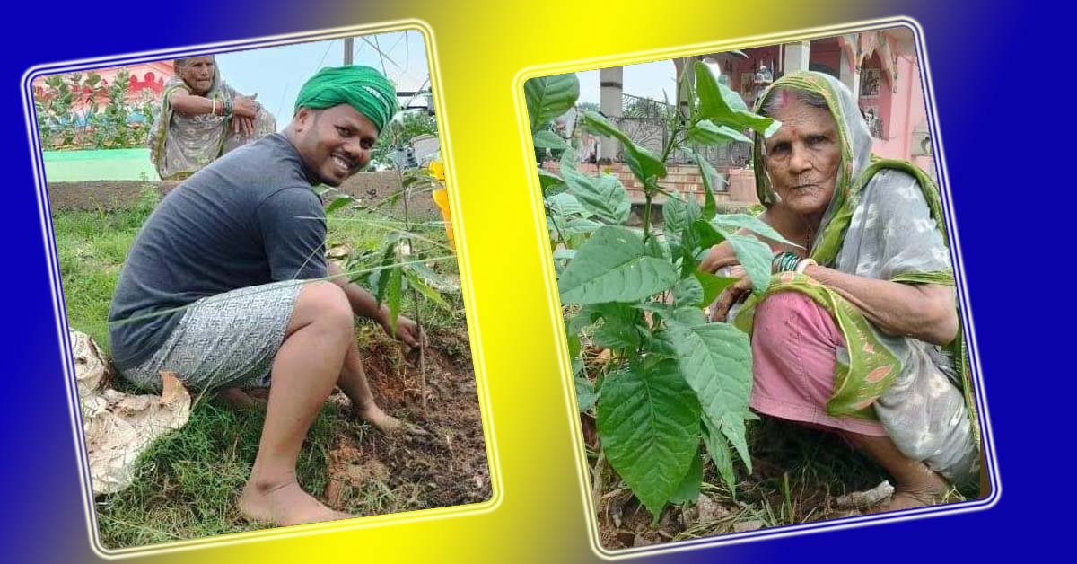 ବନ ମହୋତ୍ସବ ପାଳିଲେ ବିଷ୍ଣୁପ୍ରିୟା ଚାରିଟେବୁଲ ଟ୍ରଷ୍ଟ ସଦସ୍ୟ !!!