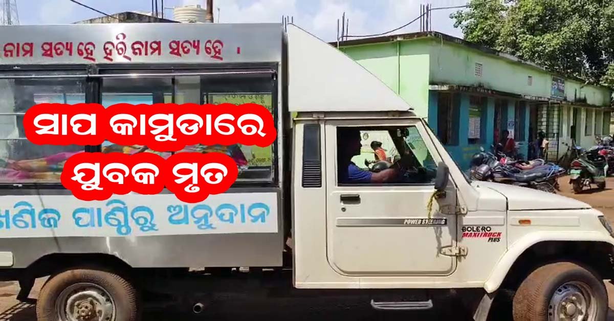 ଅତ୍ତା ଗ୍ରାମରେ ବିଷଧର ସାପ କାମୁଡାରେ ଯୁବକ ମୃତ !!!