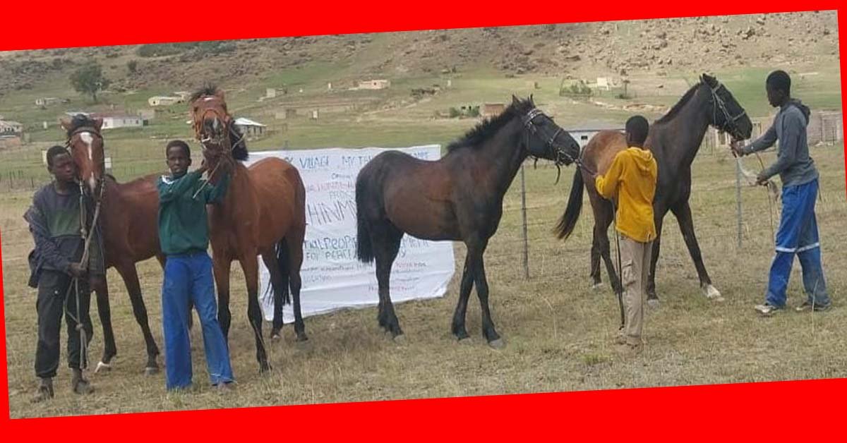 ସାଉଥ୍ ଆଫ୍ରିକାରେ ଆରମ୍ଭ ହେଲା ଚିନ୍ମୟ ଫାଉଣ୍ଡେସନର ଘୋଡ଼ା ଦୌଡ ପ୍ରତିଯୋଗିତା !!!