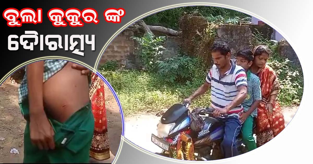 ବାଘୁଆପଲ୍ଲୀ ପଞ୍ଚାୟତ ବନ୍ଧଦ୍ୱାର ଗ୍ରାମରେ ବୁଲା କୁକୁର ଙ୍କ ଉତ୍ପାତ !!!