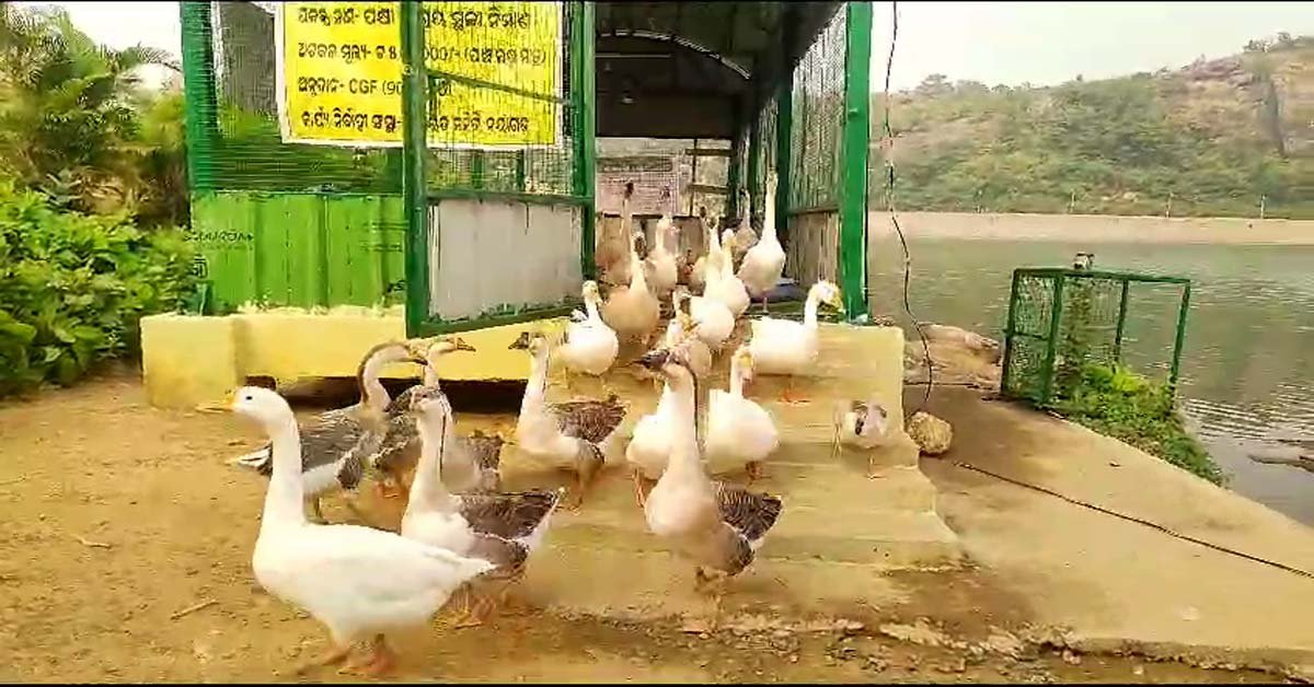 ବଲାଙ୍ଗୀ ବନ୍ଧ ପାଲଟିଲା ବଲାଙ୍ଗୀ ପାର୍କ !!!