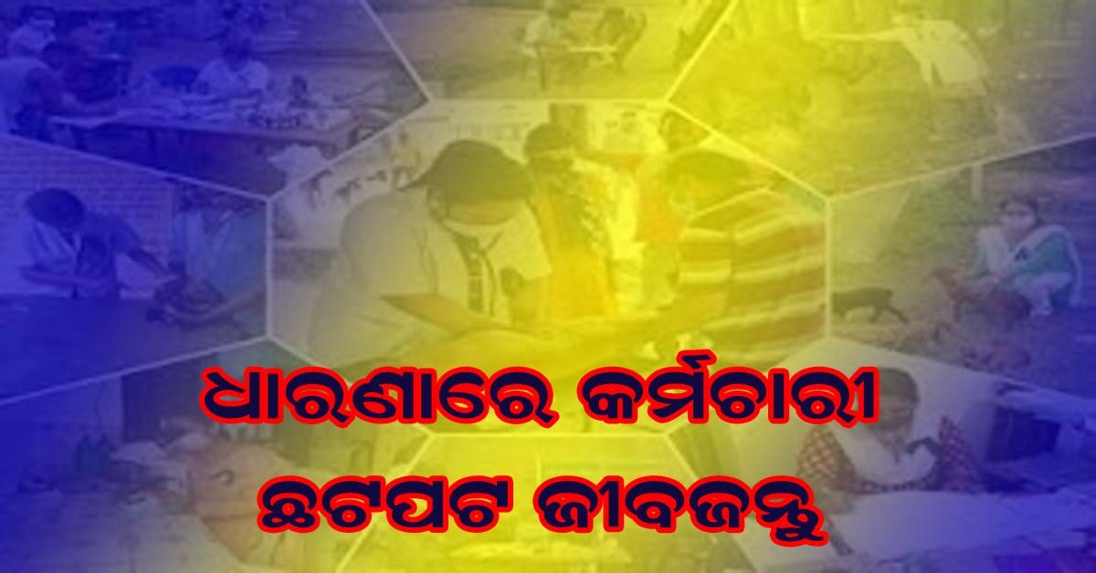 ଜିଲ୍ଲା ମୁଖ୍ୟ ପ୍ରାଣୀ ଚିକିତ୍ସା ଅଧିକାରୀଙ୍କୁ ଭେଟିଲେ କୁକୁଡ଼ା ପାଳନ ଚାଷୀ ଓ ସ୍ୱୟଂ ସହାୟକ ଗୋଷ୍ଠୀ !!!