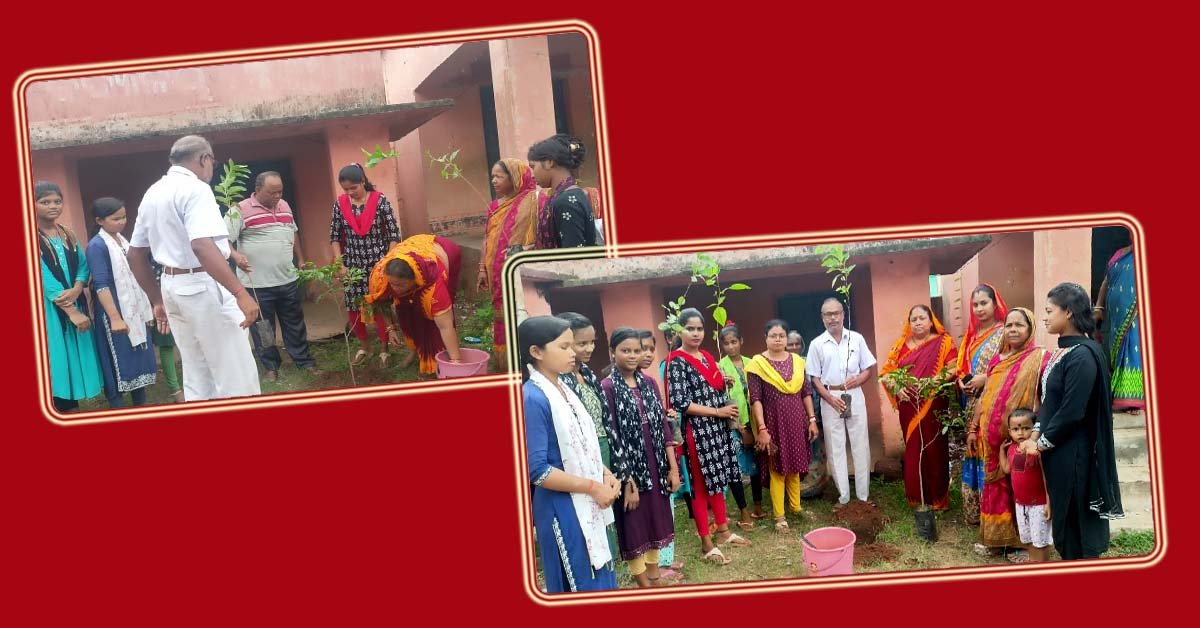 ଭଗିପୁର ଗ୍ରାମରେ ବନ ମହୋତ୍ସବ ପାଳିତ !!!