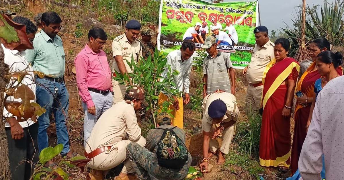 ମହେନ୍ଦ୍ର ବନାଞ୍ଚଳ ପକ୍ଷରୁ କଳାସିଂ ଗ୍ରାମରେ ବନ ମହୋତ୍ସବ !!!