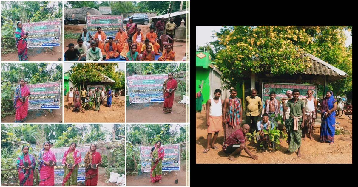 ଚିନ୍ମୟ ଫାଉଣ୍ଡେସନର ବନାନୀ କାର୍ଯ୍ୟକ୍ରମ ଜରିଆରେ ଚାଲିଛି ପ୍ରକୃତିର ଉପାସନା !!!