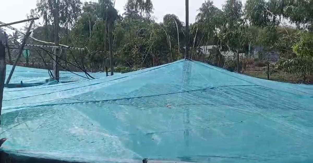 ମାଛ ଚାଷ କରି ଲାଭବାନ ହୋଇ ପାରିଛନ୍ତି ଉଦ୍ୟମୀ ଚାଷୀ ଜୟ କିଶୋର !!!