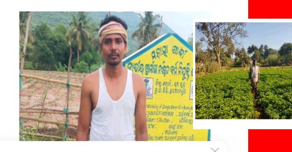 ବର୍ଷ ଏକ – ବିକାଶ ଅନେକ !!!