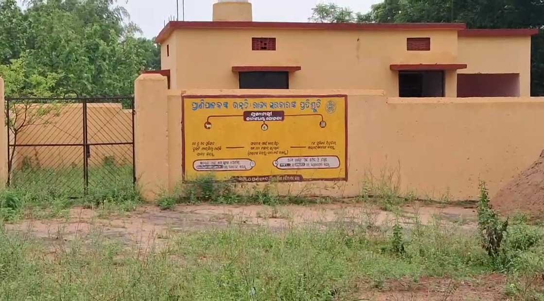 ଚାଷୀଙ୍କ କାର୍ଯ୍ୟରେ ଆସୁନାହିଁ ପ୍ରାଣୀ ସହାୟକ ଚିକିତ୍ସା କେନ୍ଦ୍ର !!!