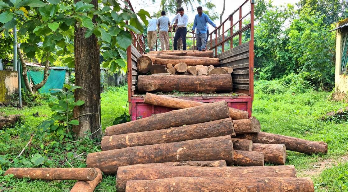 ବନ ବିଭାଗର ମିଳିତ ଚଢ଼ାଉ : ଟ୍ରକ୍‌ ସହ ମୂଲ୍ୟବାନ କାଠ ଜବତ – ଜଣେ ଅଟକ !!!